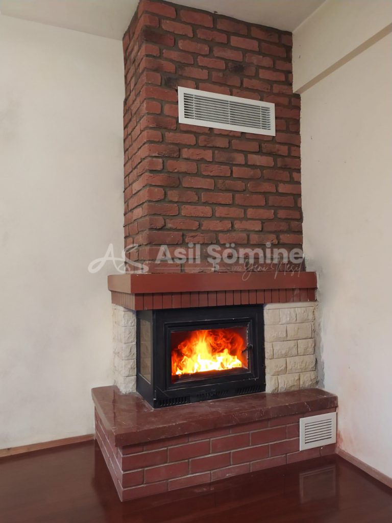 l-tipi-asil-somine11