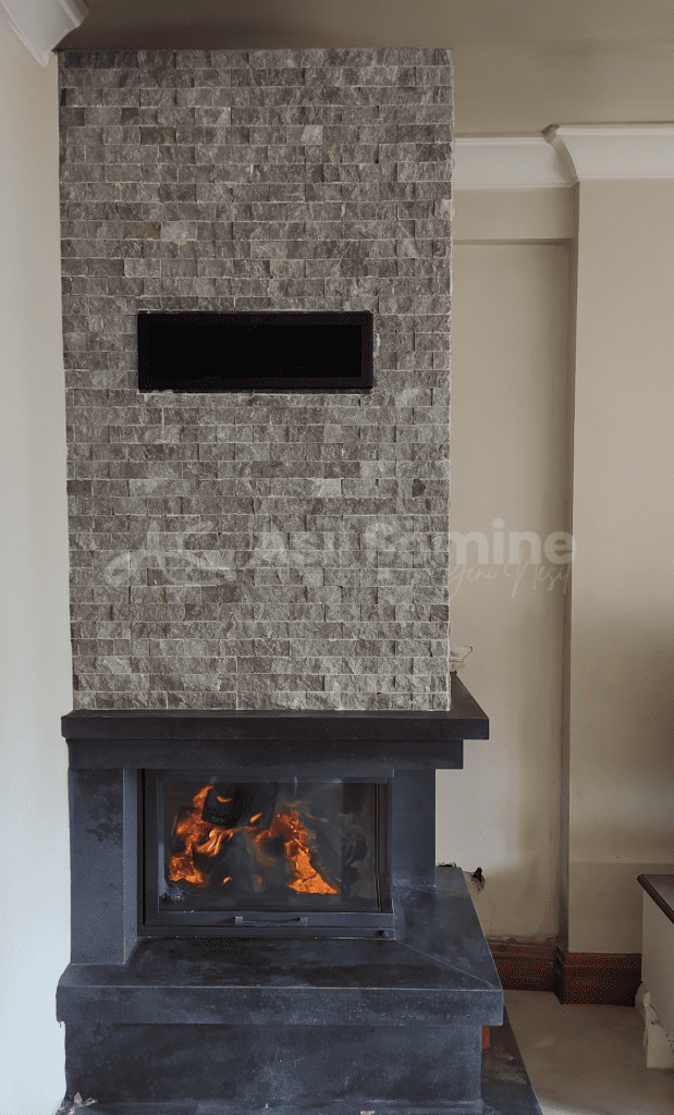 l-tipi-asil-somine4-1